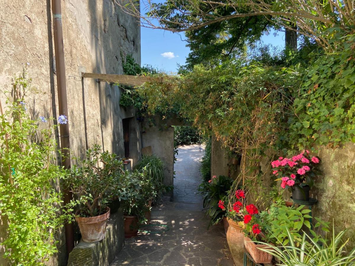 B&B La Rocca Carmignano Exteriér fotografie
