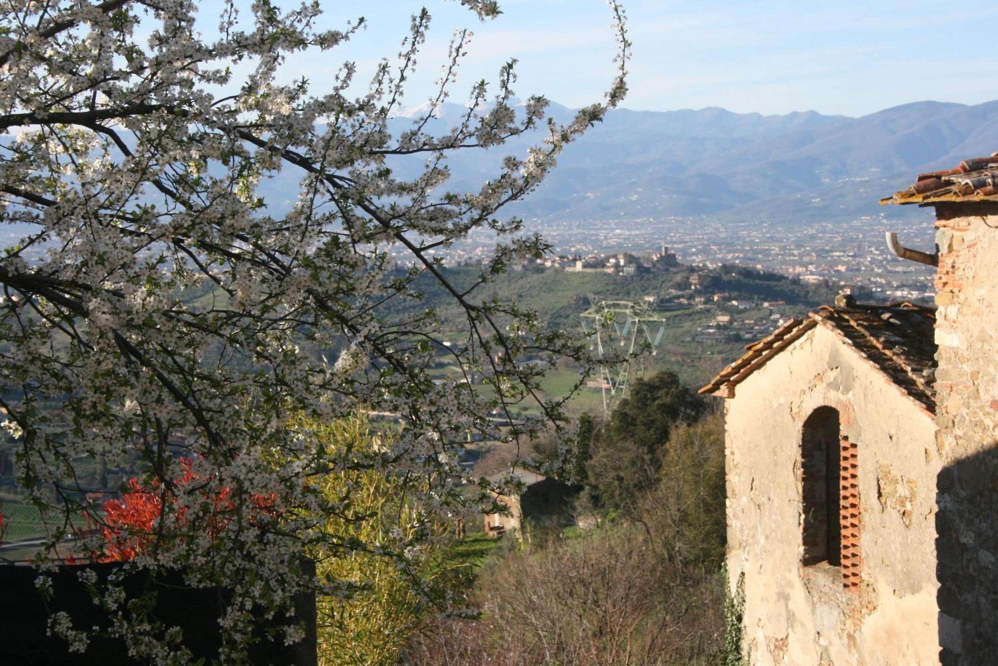 B&B La Rocca Carmignano Exteriér fotografie